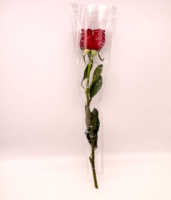 Una-Rosal-Flores-Bucaramanga